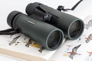 Bird Watching in Kingsport, TN - Toyota of Kingsport