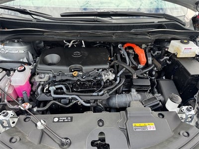 2023 Toyota Sienna Platinum 7 Passenger