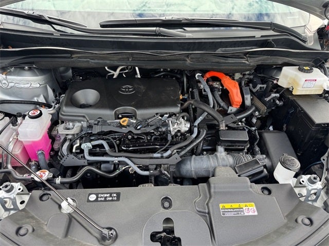 2023 Toyota Sienna Platinum 7 Passenger