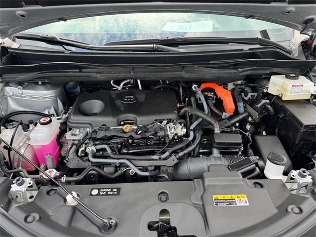 2024 Toyota Sienna Limited 7 Passenger